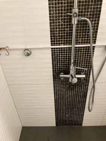 彭雅莉 - 浴室莓垢後照