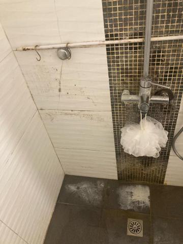 彭雅莉 - 浴室莓垢前照