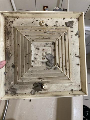 彭雅莉 - 抽風機前照