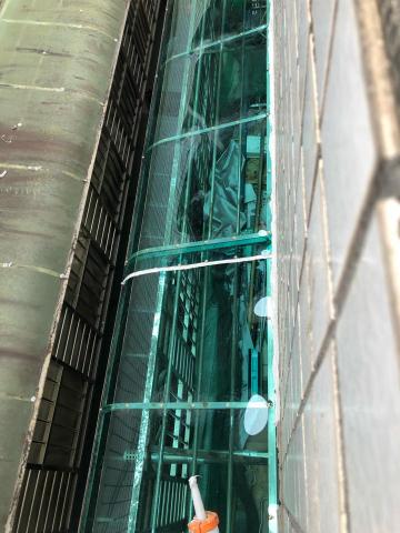 池王鋼鋁金屬設計 - 更換採光罩Pc板