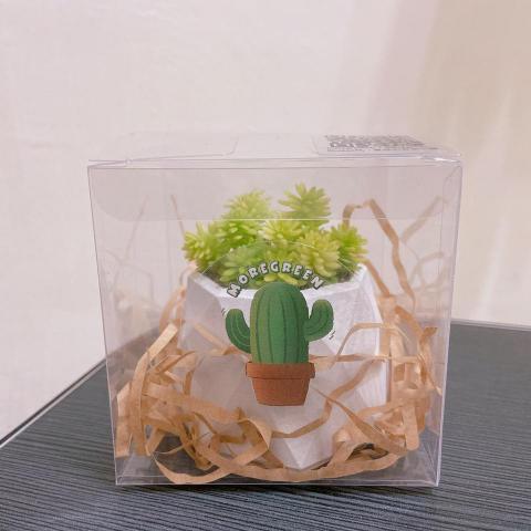 潘采絹 - MOREGREEN - 貼紙實體