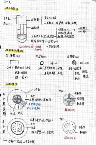 郭育寧 - 生物部分筆記