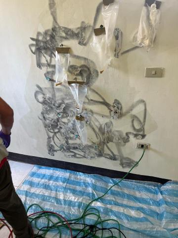 桃園邑𥛶科技設備抓漏驗屋檢測修繕工程行 - 屋年：屋種：個別不同（結構：建材：設備：系統）

檢測相關設備工具程序。      修繕相關材料工貝程序評估整合評估。    每個案場習慣性分析拆解細分評估整合

以現場漏水量大小而使用不同設備儀器
以現場是否有重疊性滲漏水的重疊因素
以現場的漏水而分析出持續性或間歇性或重疊性

檢測外結構的相關程序如下：

結構內外畫出來把所有的系統名列排列確認說結構出架構分類
系統個別整理條理分明出邏輯現象
檢測設備全部共幾種使用及相關的使用材料工具等
內外結構相關的內外相關
滲漏水的責任歸屬
滲漏水的大小狀況
滲漏