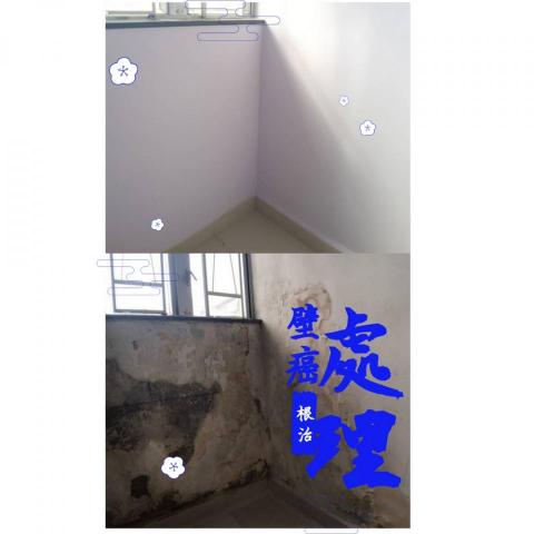 桃園科技抓漏(抓漏免打牆） - 1.環境保護: 鋪設瓦楞板、防塵膜，避免工程中的碎石 
     刮傷地面。
2.打掉壁癌區域: 將壁癌發生處打掉(牆面的水泥層，約
     1cm)。 相連牆面也須做處理，預防水氣因毛細現象
     影響周遭牆壁。
3.重新塗抹: 塗抹聚合樹酯、矽酸質、防水粉等，形成
    防水層。
4.新牆批土、重刷油漆。