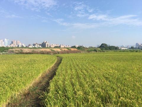 鴻海地政士事務所 - 申請農用證明農地買賣