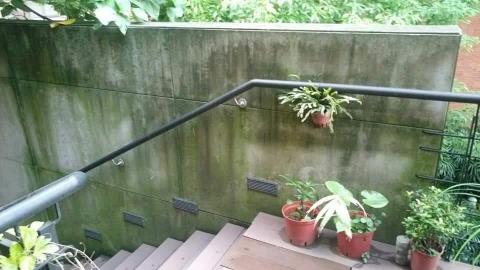 葉法謙 - 除苔前