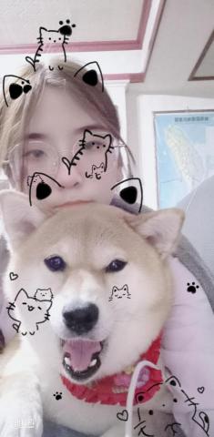 疑難雜症事務所 - 