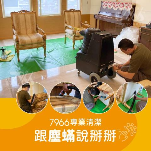 好室 7966 專業清潔 -  好室 7966 專業清潔 -
