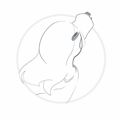 提供插畫師服務的專家插畫師白洞／WLB