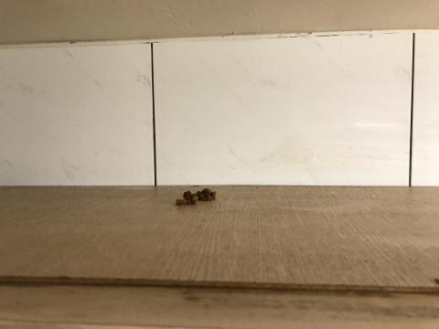 陳韋如居家清潔 - 清潔前