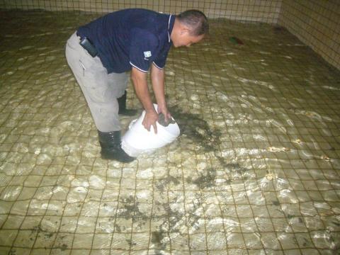 宜家事業有限公司 - 