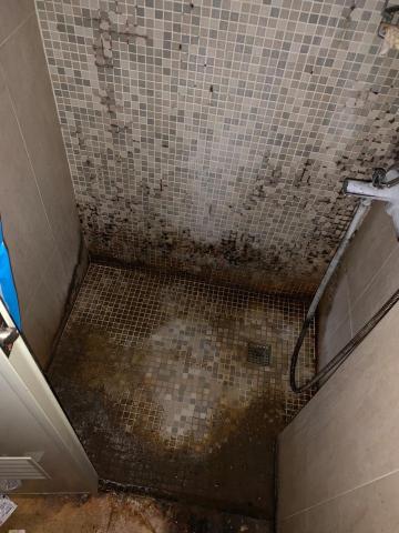 Yvonne - 原來的樣子