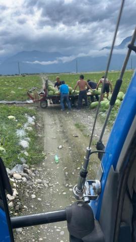 黑豹貨運公司 - 