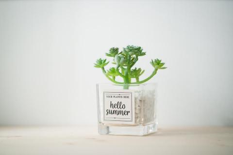 Vincent - 商品拍攝