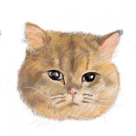 提供61服務的專家Hee An