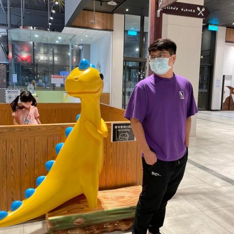 提供612排球服務的專家小小無