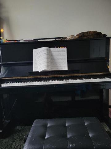 古典鋼琴工作室 - 練琴之餘還有兩隻可愛貓貓的陪伴喔?