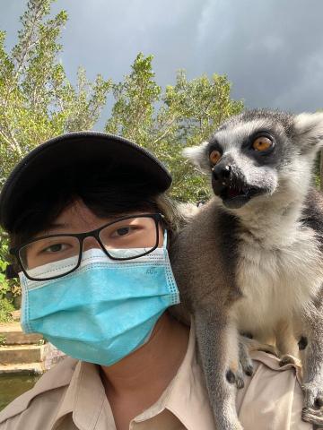 姚柔伊 - 在六福村實習飼養的狐猴