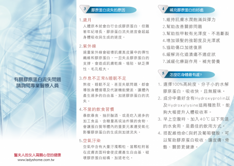 奧斯卡Oscar - N折DM設計_背面