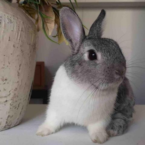 提供制服服務的專家琰晨