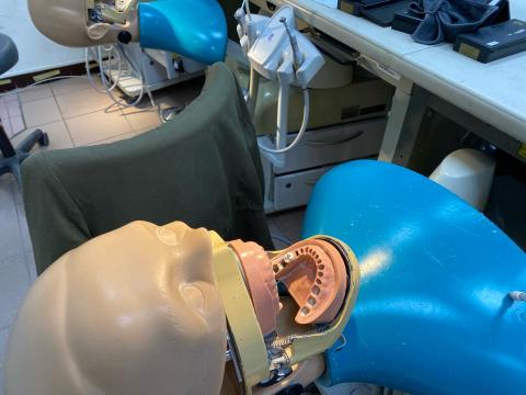 國立陽明交通大學牙醫學系 - 