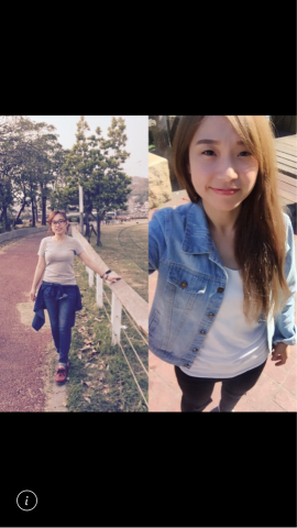 教練維特 -  教練維特 -