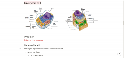 謝泯諺 - 高中生物筆記整理(1)