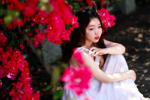 揚琴 教學 蘇秋佳 - 