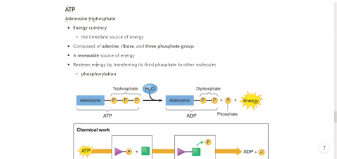 謝泯諺 - 高中學測生物筆記整理(3)