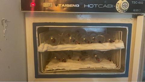 專業按摩調理師（到府服務and工作室） - 