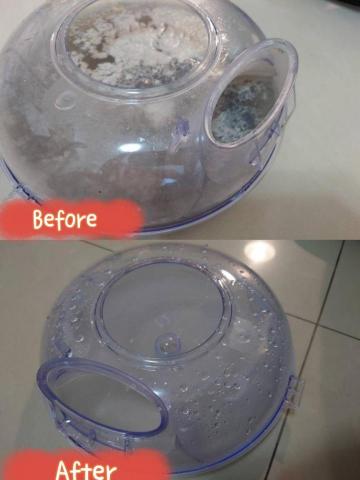 傘下鬼殺隊-專殺髒鬼 - 