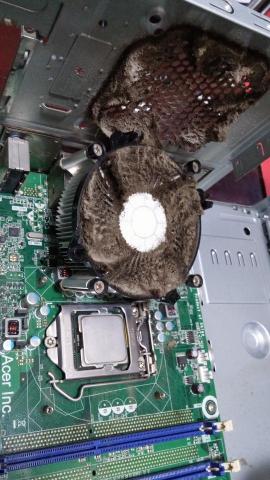柚子電腦&熙程資訊 - 超厚的灰塵卡住散熱