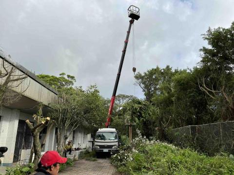 提供割草服務的專家松林開發有限公司