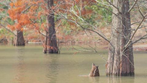張育瑄 - 觀察入微 常會發現一些特別的畫面