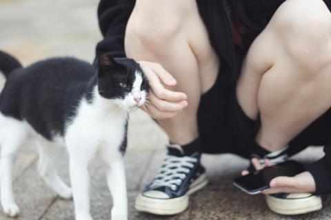 張育瑄 - 擅長捕捉動物們流露出情感的畫面