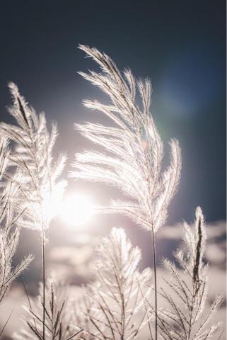 物競天澤攝影工作室 -  風景攝影