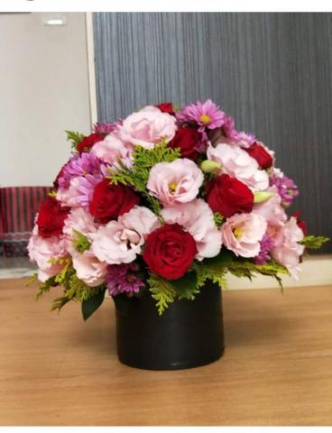 楊老師(幼兒說故事陪玩/低年級家教/正音/特殊生照顧/花藝) - 