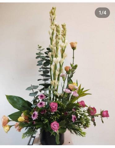 楊老師(幼兒說故事陪玩/低年級家教/正音/特殊生照顧/花藝) - 