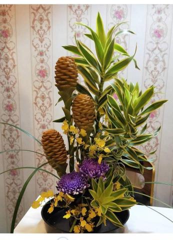 楊老師(幼兒說故事陪玩/低年級家教/正音/特殊生照顧/花藝) - 