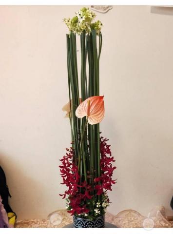 楊老師(幼兒說故事陪玩/低年級家教/正音/特殊生照顧/花藝) - 