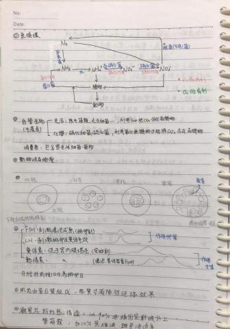 李若頤 - 筆記範例