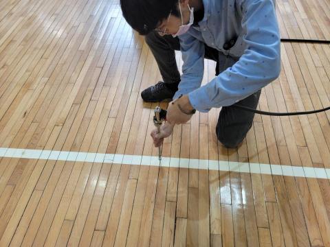 揚杰除蟲有限公司 - 校園體育館白蟻防治