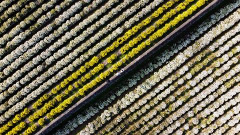 卡爾影像工作室 - 旅遊空拍 卡爾影像工作室 - 旅遊空拍