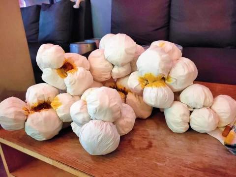 珍瑚工作室 - 酒吧/萬聖節治裝(爆米花) 珍瑚工作室 - 酒吧/萬聖節治裝(爆米花)