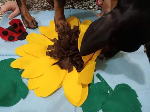 珍瑚工作室 - 手工製作寵物聞嗅墊 珍瑚工作室 - 手工製作寵物聞嗅墊