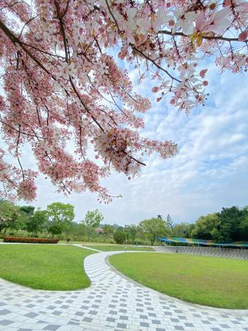 柳政男 - 戶外取景 柳政男 - 戶外取景