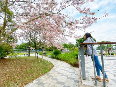 柳政男 - 人像寫真 柳政男 - 人像寫真