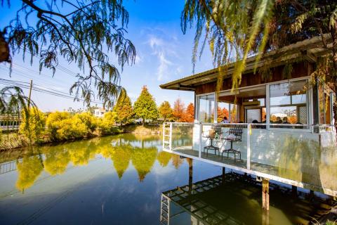 柳政男 -  柳政男 -