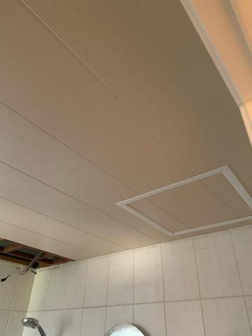 weicheng - 塑膠天花板