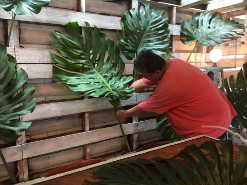 阿民 - 佈置園藝